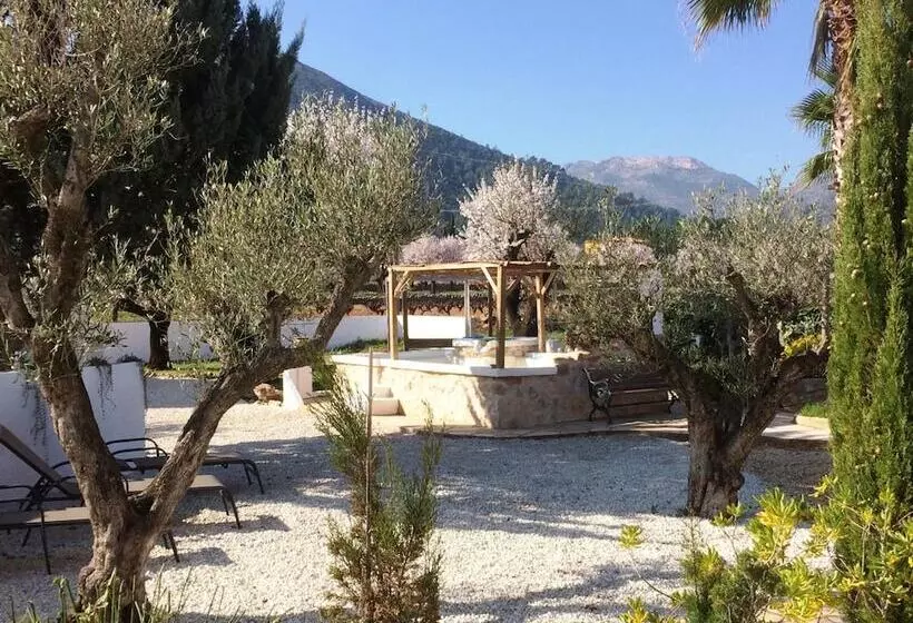 Aamiaismajoitus (B&B) Buena Idea   Adults Only