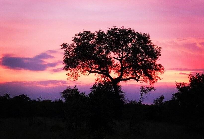 酒店 Elephant Walk Retreat