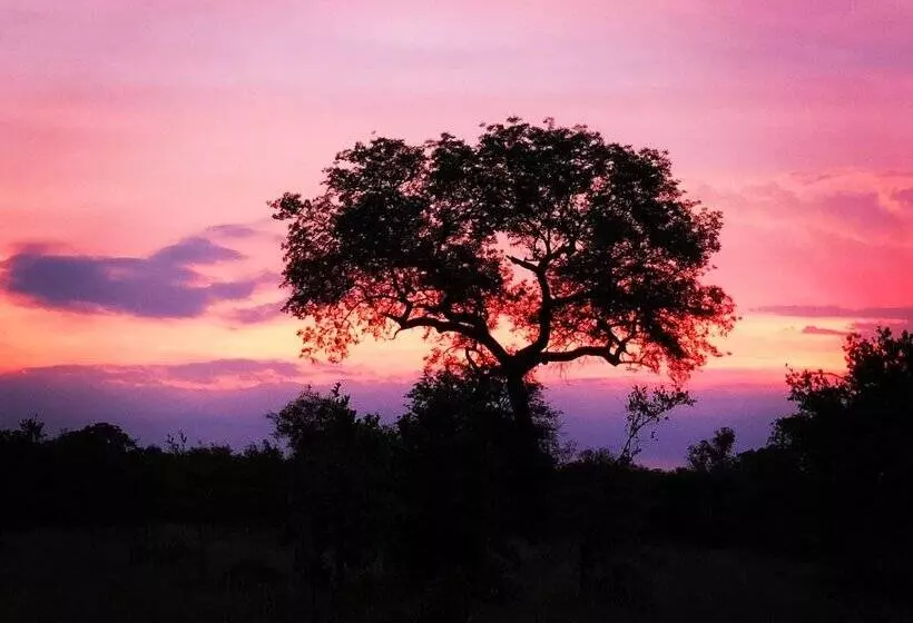 Hotelli Elephant Walk Retreat