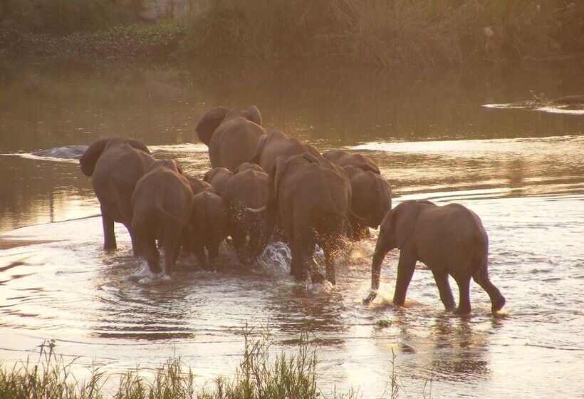 酒店 Elephant Walk Retreat