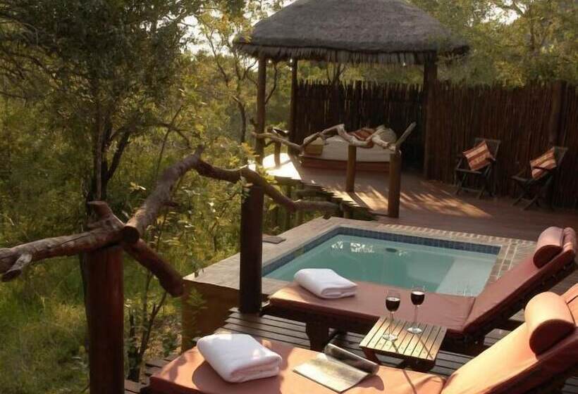 酒店 Simbambili Game Lodge