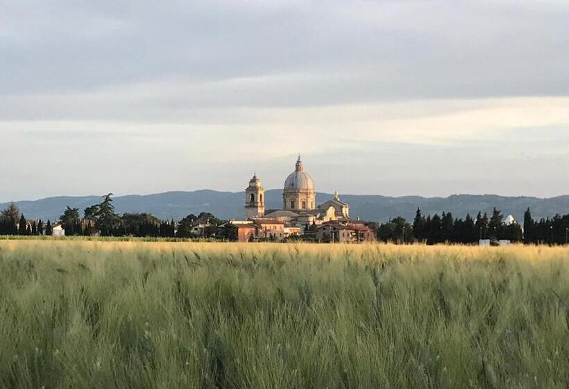 Le Campane Di Assisi