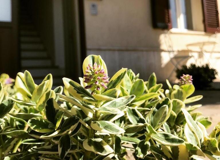 Le Campane Di Assisi
