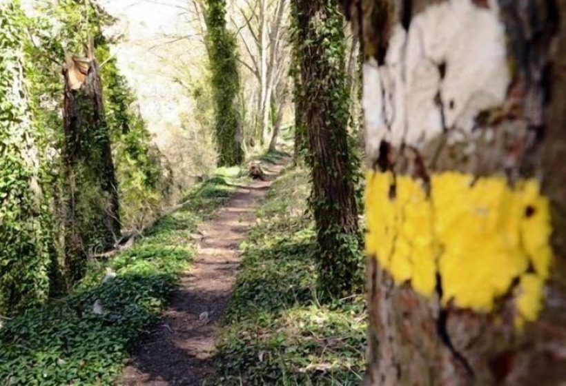 Pensão La Posada Del Hidalgo De Alarcón