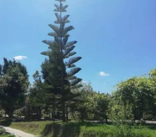 ペンション Posada Torre Del Milano