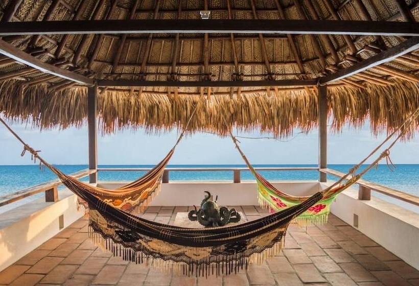 پانسیون Senda Casa Tayrona Los Naranjos