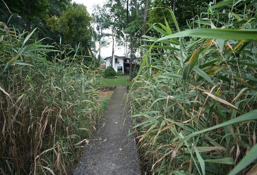 Beta Home Lake House