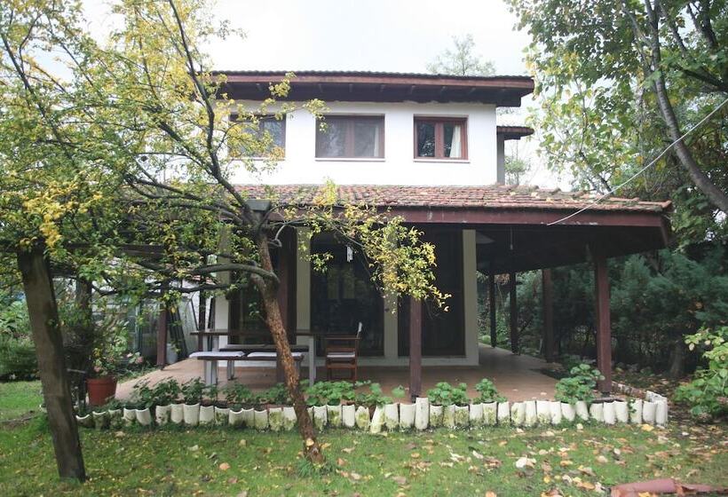 Beta Home Lake House