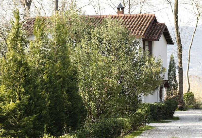 Beta Home Lake House