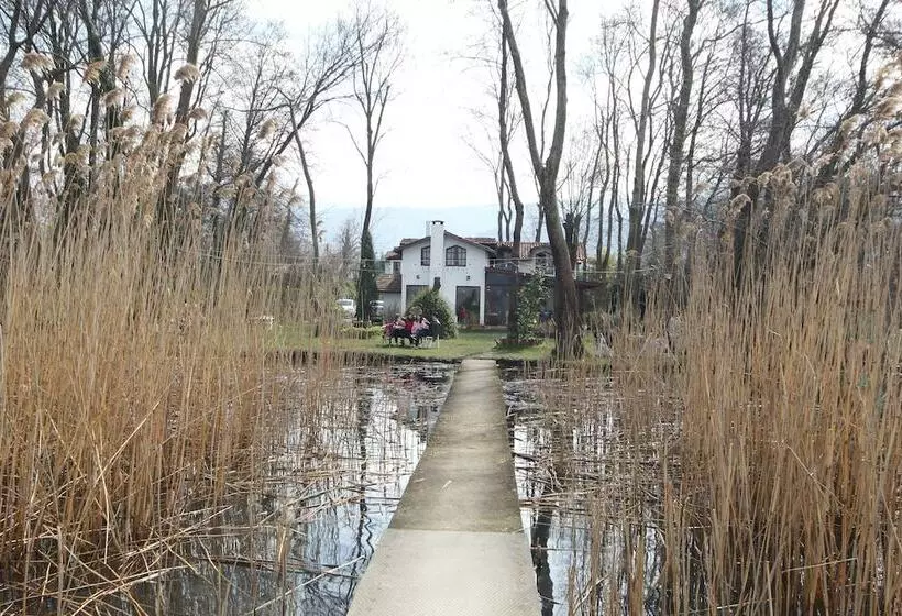 Beta Home Lake House