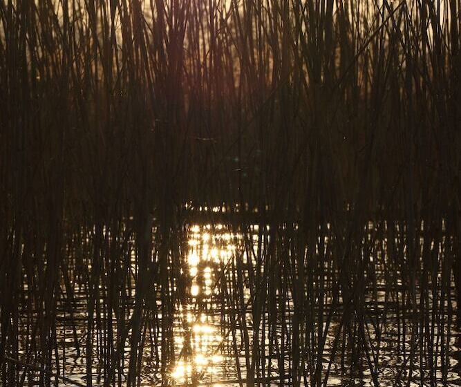 Beta Home Lake House