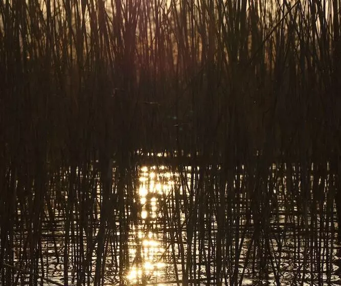 Beta Home Lake House