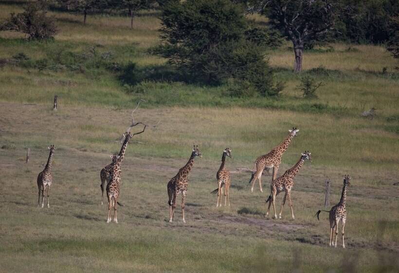 هتل Elewana Serengeti Migration Camp