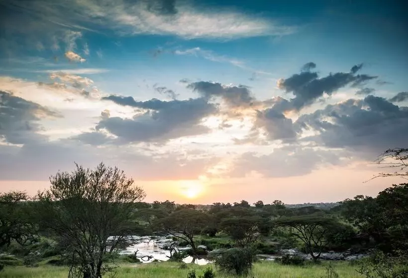 هتل Elewana Serengeti Migration Camp