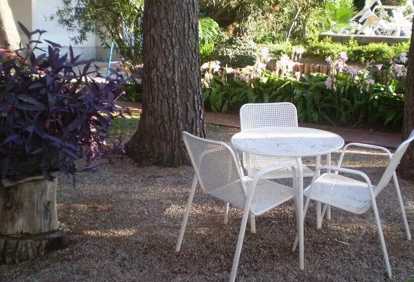 Apartamentos El Oasis