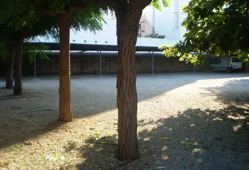 Apartamentos El Oasis