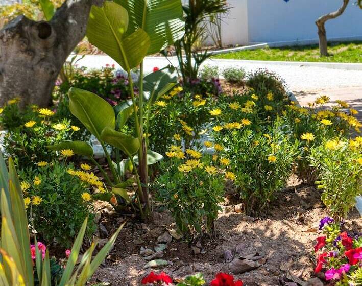 مبيت وإفطار The Palms Boutique Resort Málaga   Adults Only