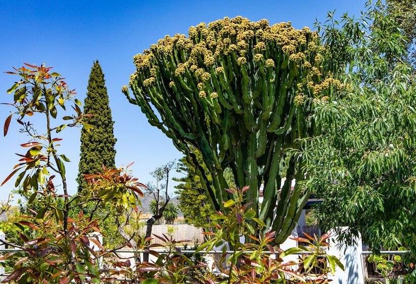 مبيت وإفطار The Palms Boutique Resort Málaga   Adults Only