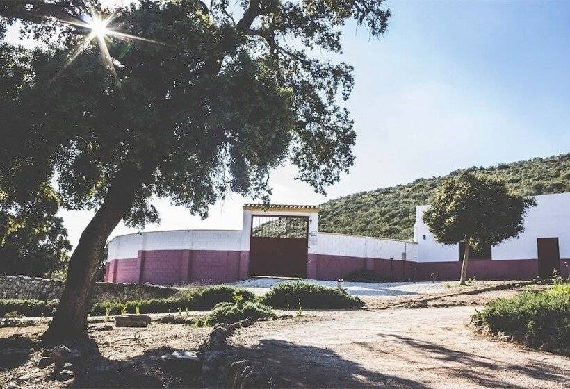 Casas Rurales La Cañada