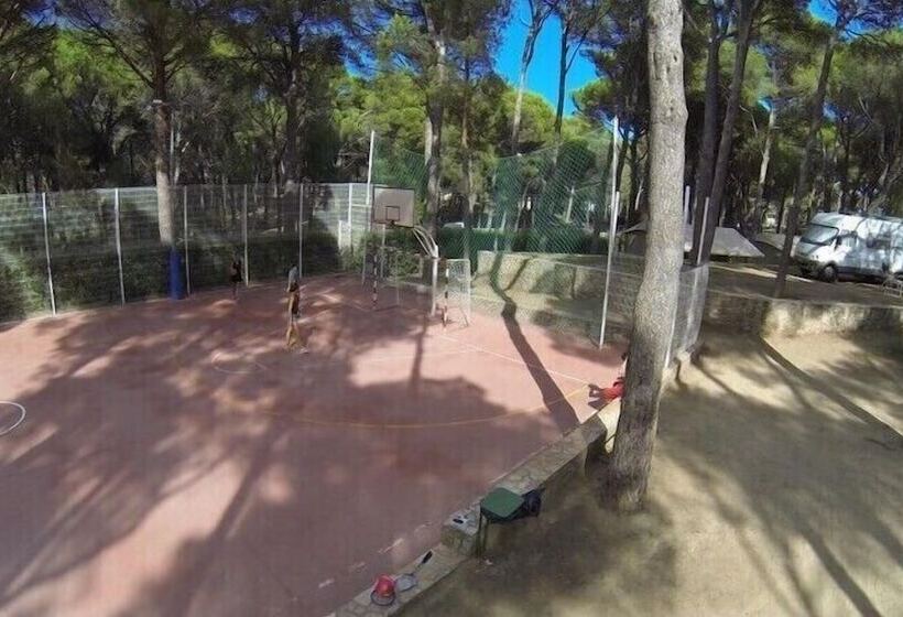 Hotel Camping Interpals