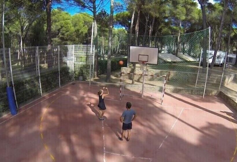 Hotel Camping Interpals