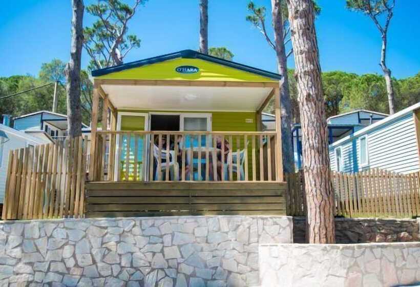 Hotel Camping Interpals