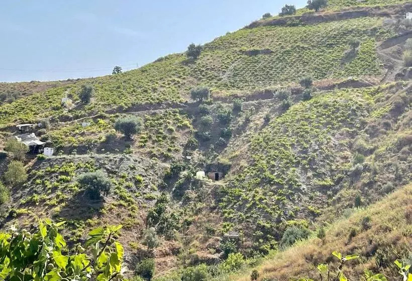 Hotelli Posada Del Bandolero