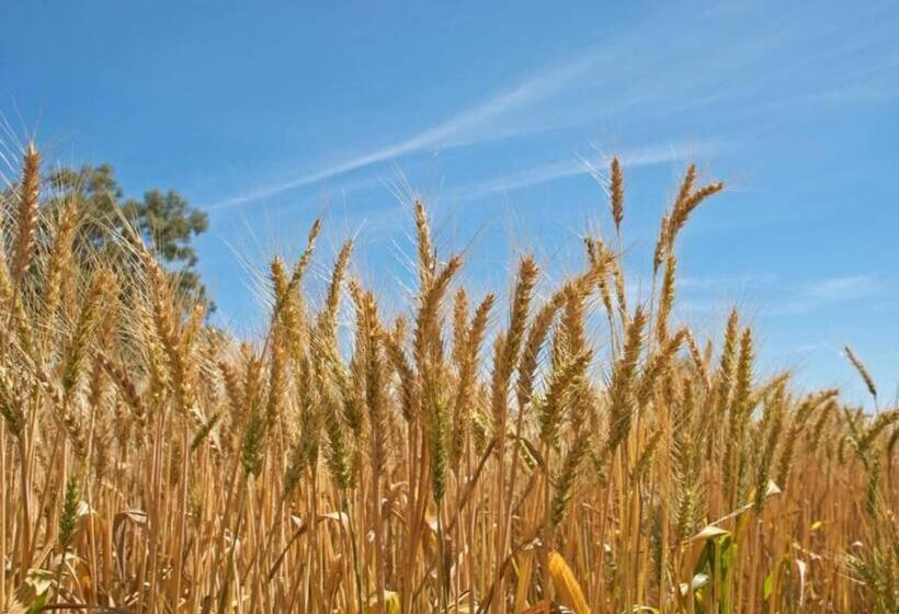 Отель Rural Betania