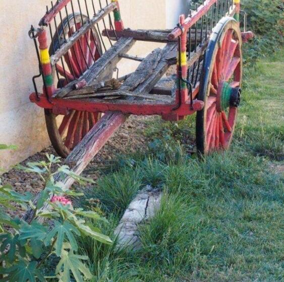 Отель Rural Betania