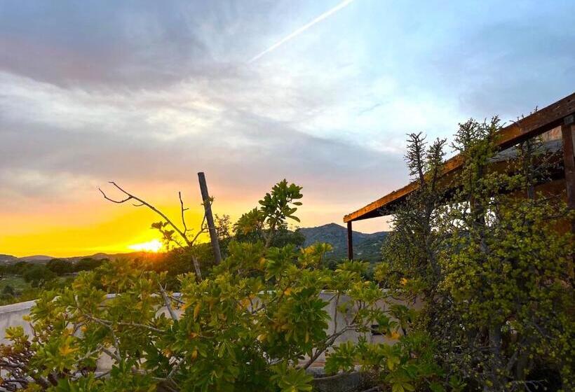 هتل روستایی Finca Hotel Ses Cases Noves