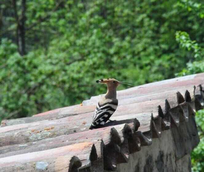 Сельский отель Masía El Güell