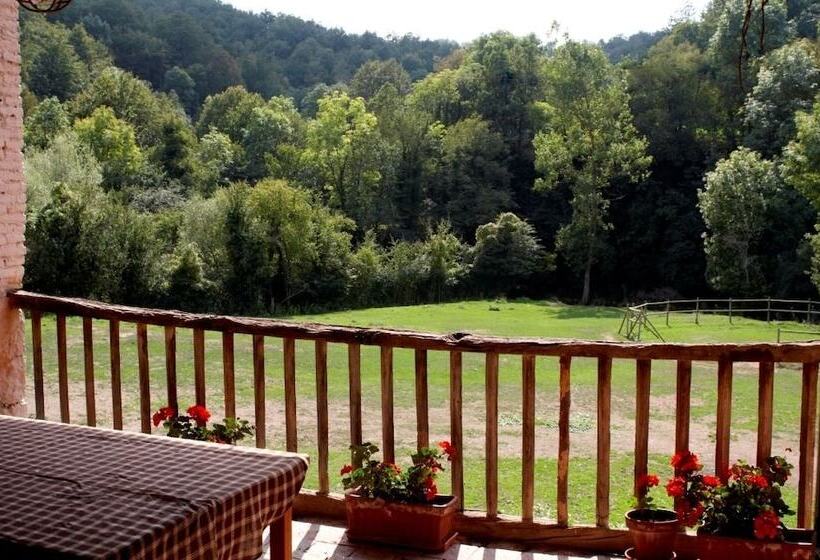 Сельский отель Masía El Güell