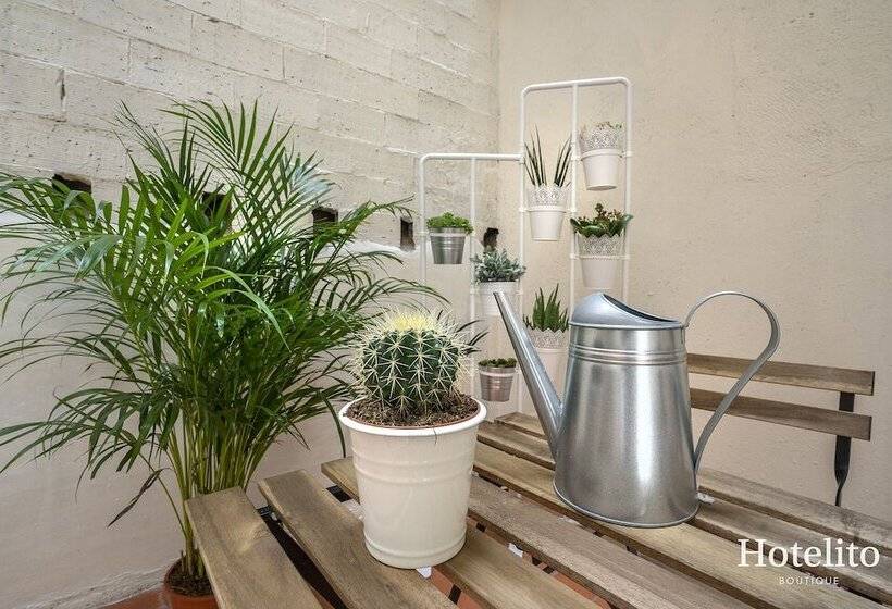 Ito Boutique Camp Nou