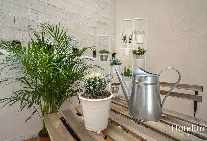 Ito Boutique Camp Nou