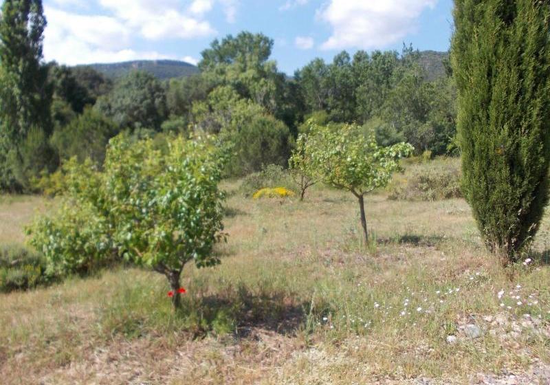 민박 Maset De Les Talaveres