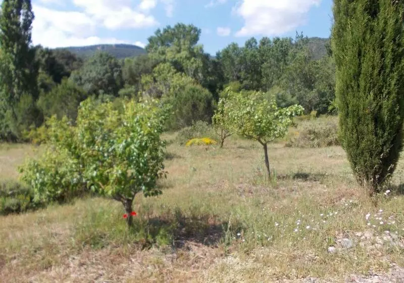 Aamiaismajoitus (B&B) Maset De Les Talaveres