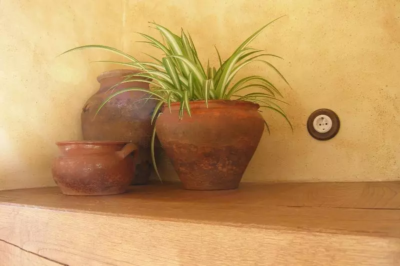 Casa Rural El Zahorí De Pinedas