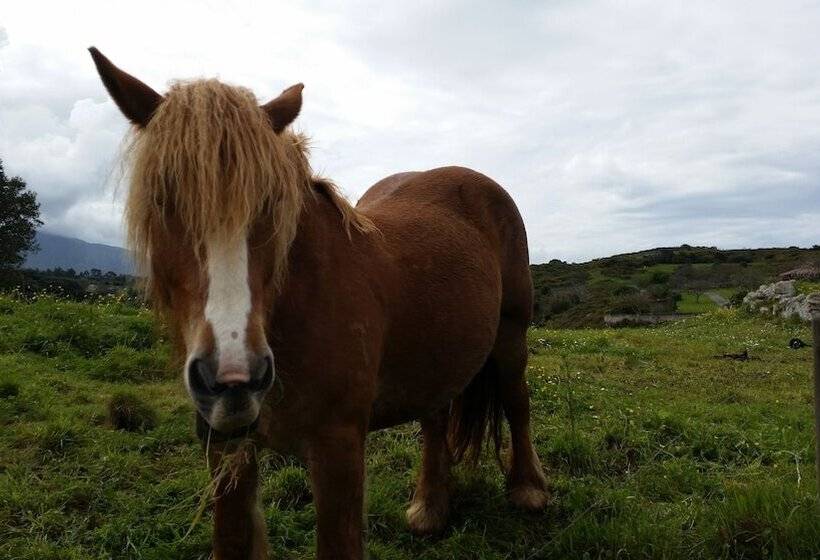 Albergue Llanes Playa De Poo Hostel