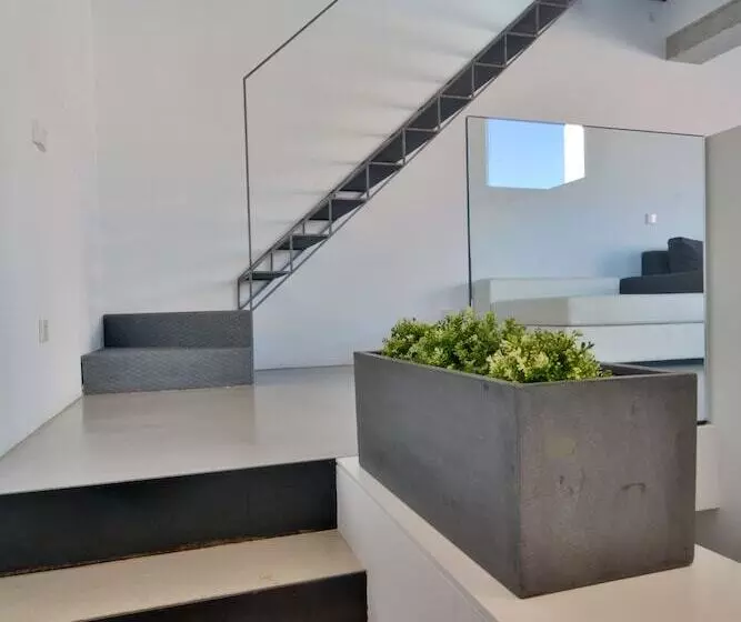 Lonja Suites Apartments