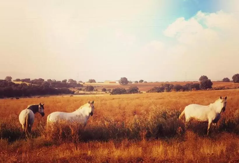 Spa Complejo Rural Las Abiertas