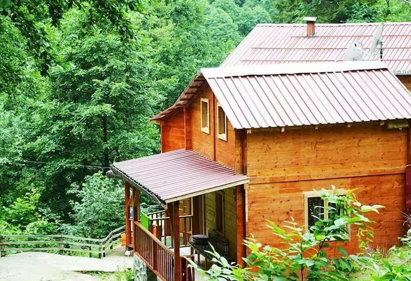 Ayder Bulut Dag Evi