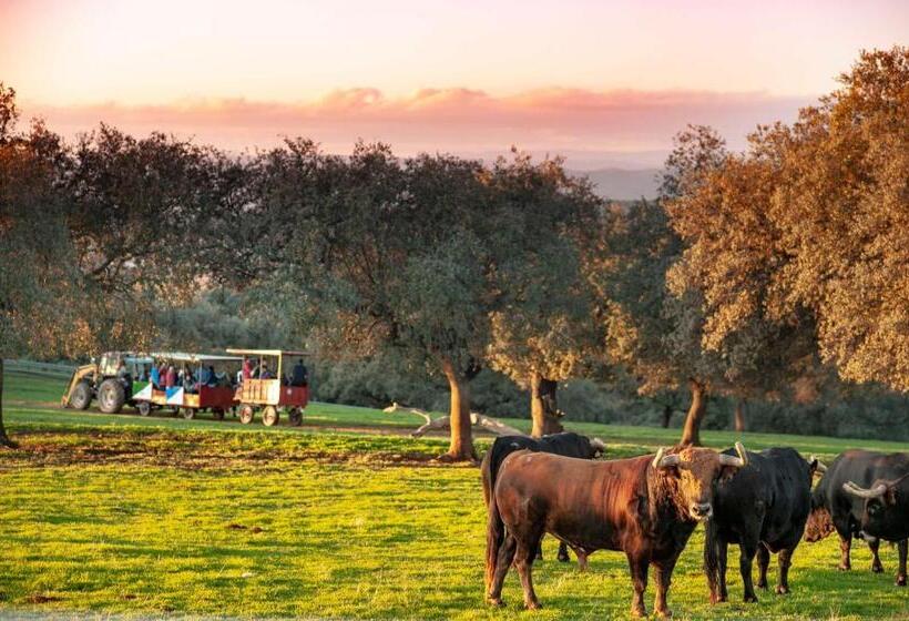 Отель Finca El Cotillo