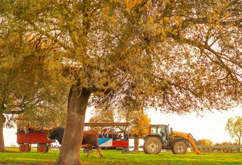 Отель Finca El Cotillo