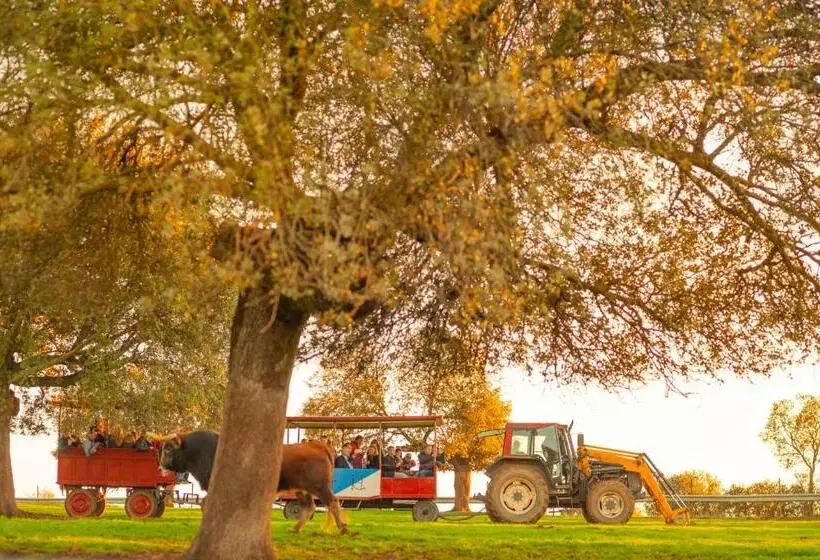 Hotelli Finca El Cotillo