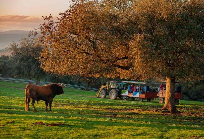 Отель Finca El Cotillo