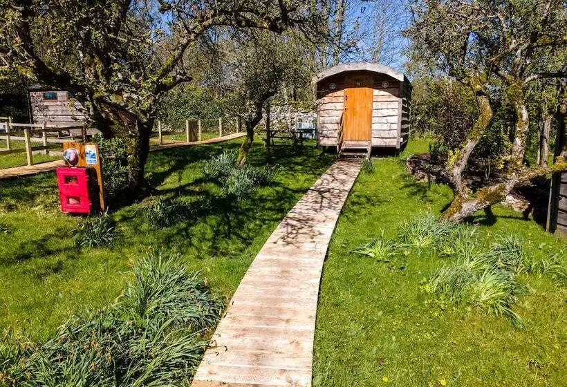 ホテル Orchard Hideaways