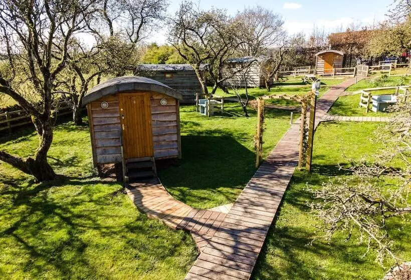 ホテル Orchard Hideaways