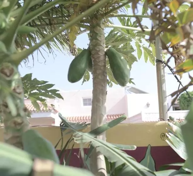 Los Amigos Nest Hostel