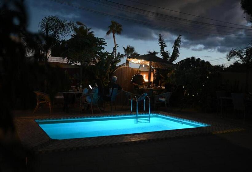 Los Amigos Nest Hostel