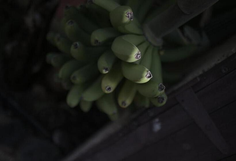 Los Amigos Nest Hostel